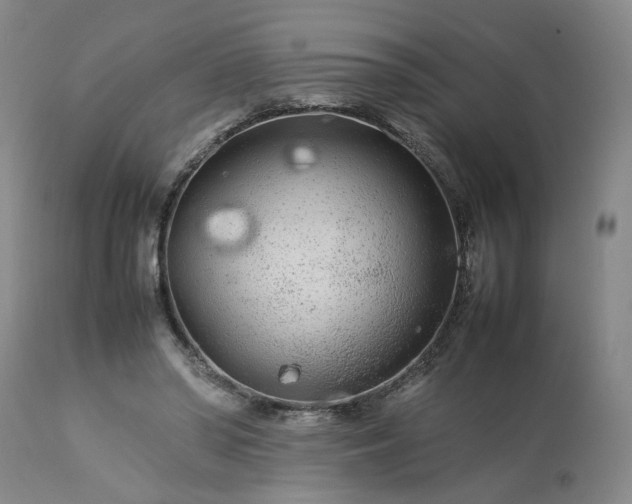 X0000113620398200910021833