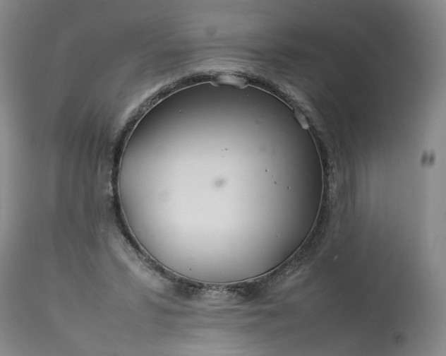 X0000113620399200910021833