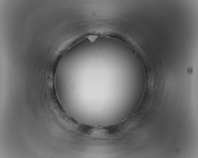 X0000113620403200910021833