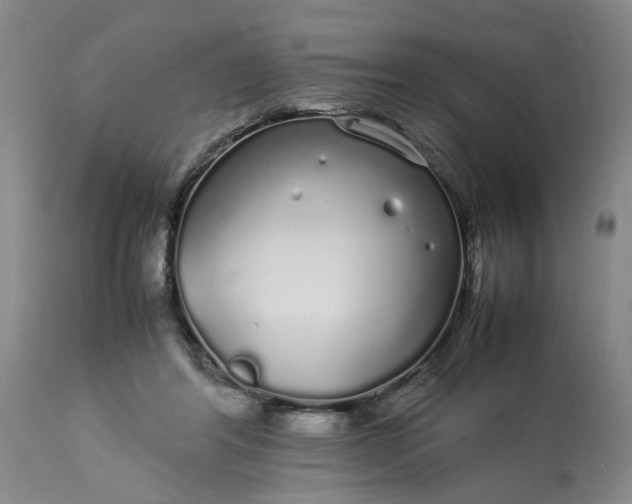 X0000113620404200910021833