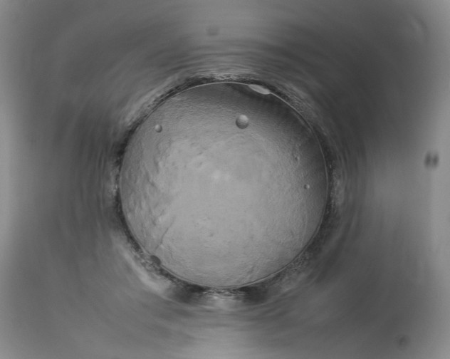 X0000113620405200910021833