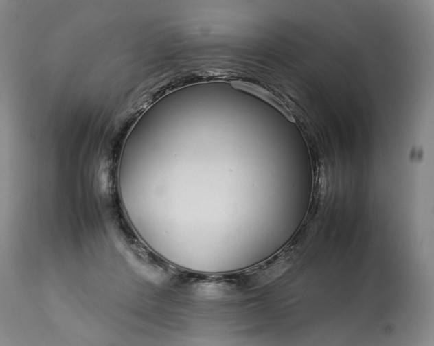 X0000113620408200910021833