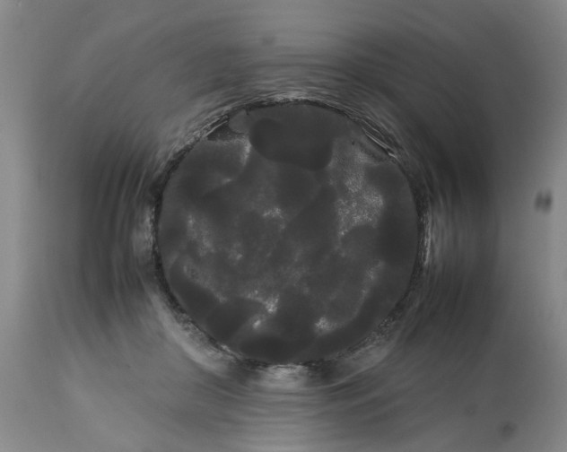 X0000113620410200910021833