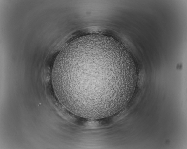 X0000113620413200910021833