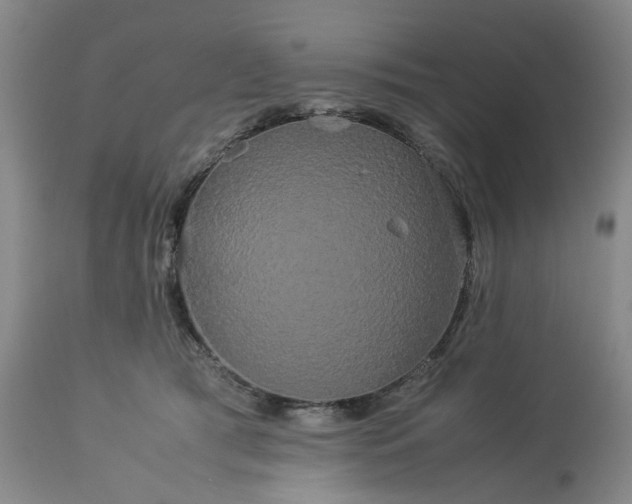 X0000113620417200910021833