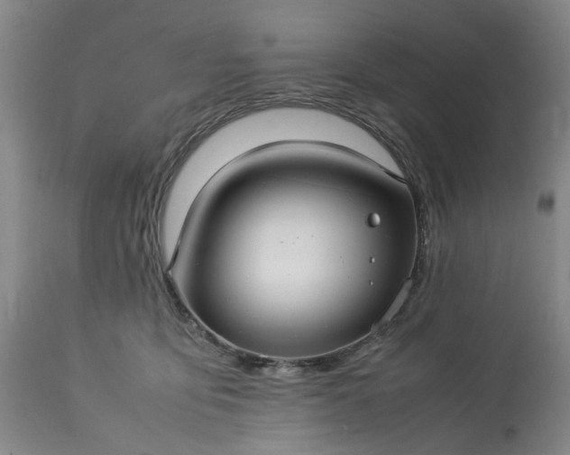 X0000113620419200910021833