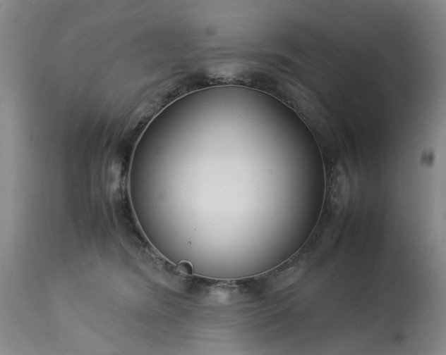 X0000113620420200910021833