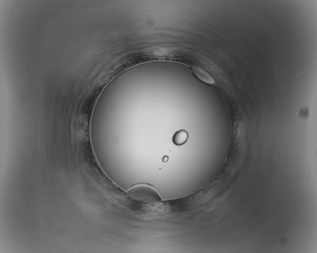 X0000113620421200910021833