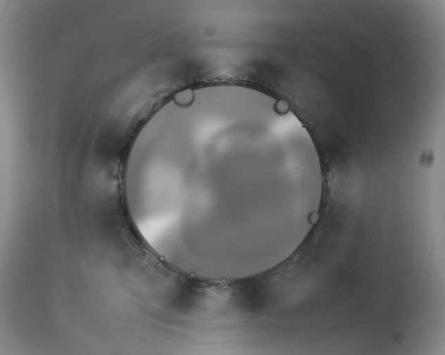 X0000113620423200910021833