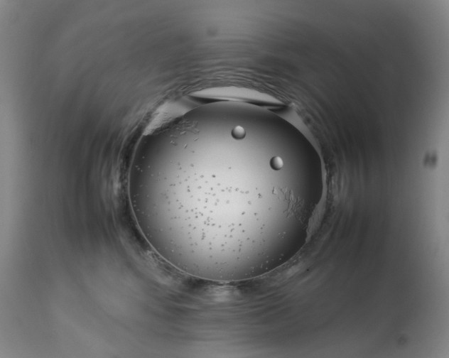 X0000113620424200910021833