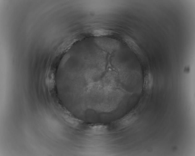 X0000113620426200910021833