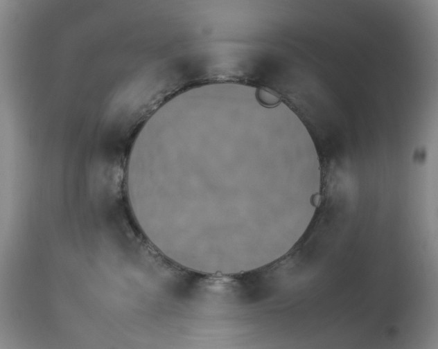 X0000113620427200910021833