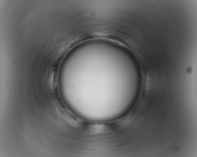 X0000113620428200910021833