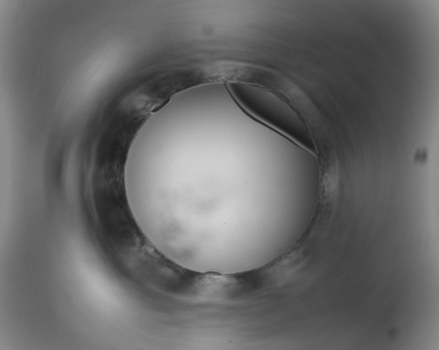 X0000113620429200910021833