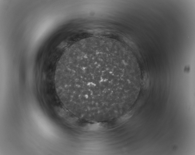 X0000113620430200910021833