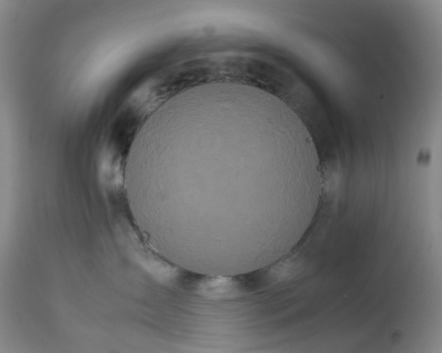 X0000113620431200910021833