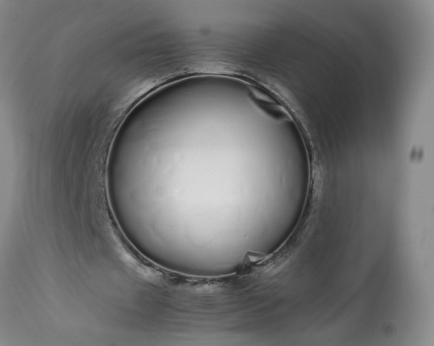 X0000113620433200910021832