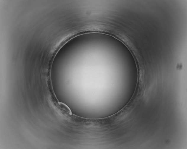 X0000113620434200910021832