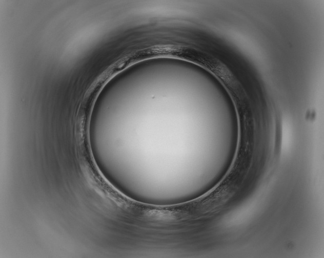 X0000113620435200910021832