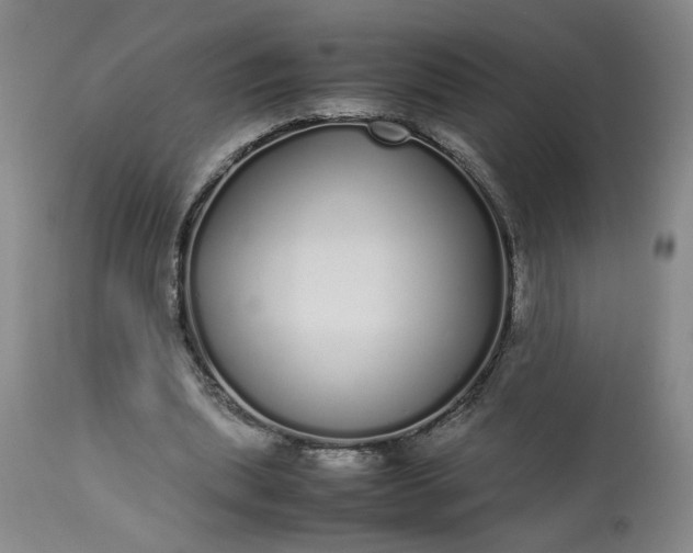 X0000113620439200910021832