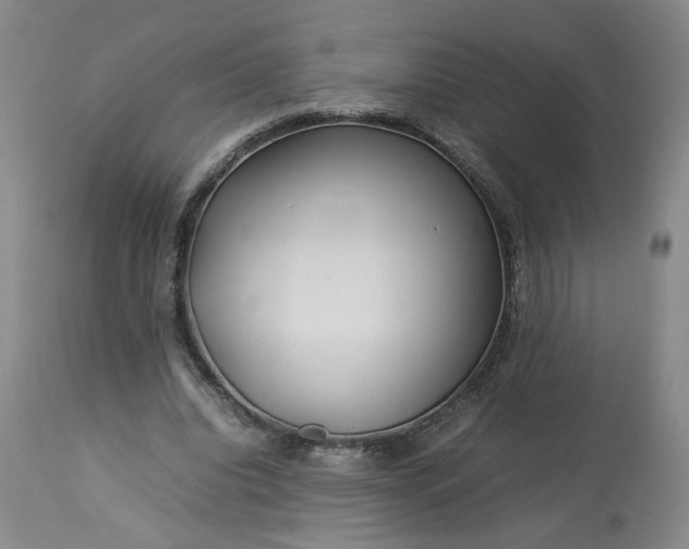 X0000113620440200910021832