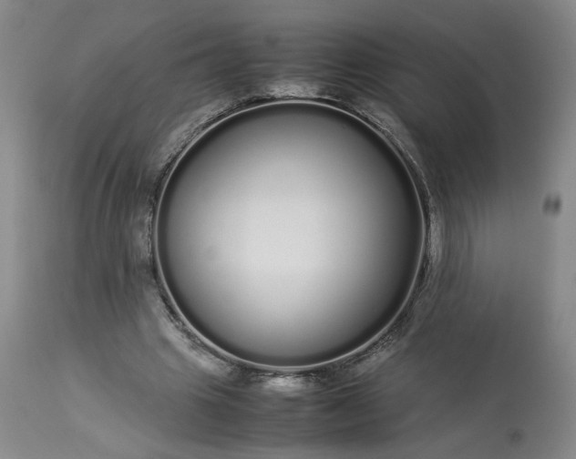 X0000113620441200910021832