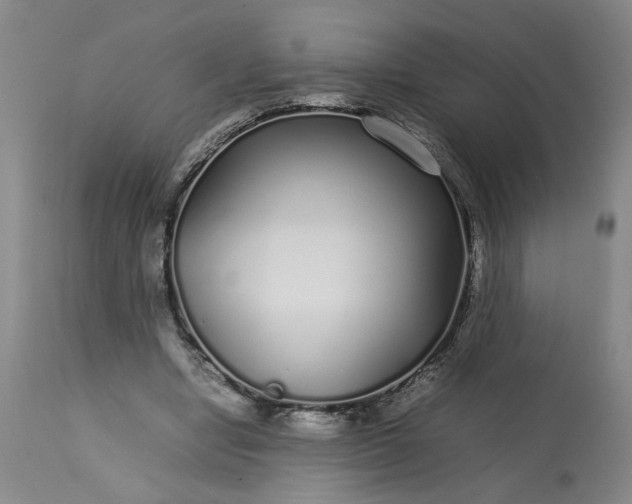 X0000113620442200910021832