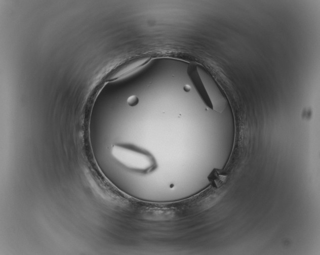 X0000113620443200910021832