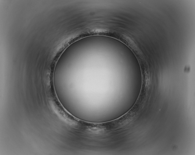 X0000113620447200910021832