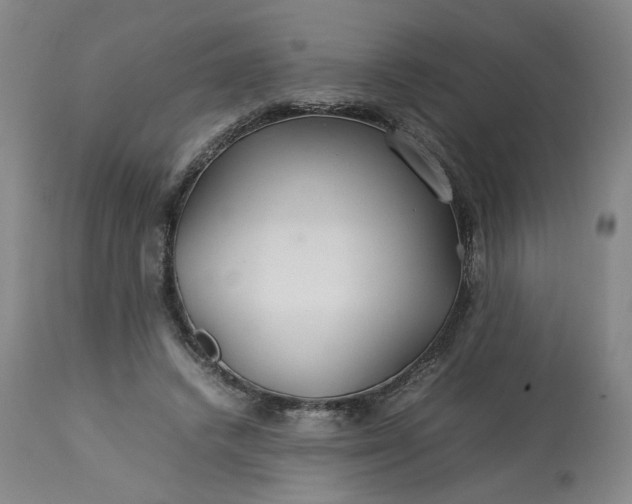 X0000113620448200910021832