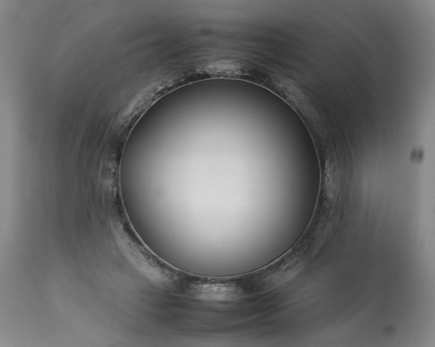 X0000113620449200910021833