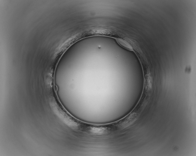 X0000113620450200910021833