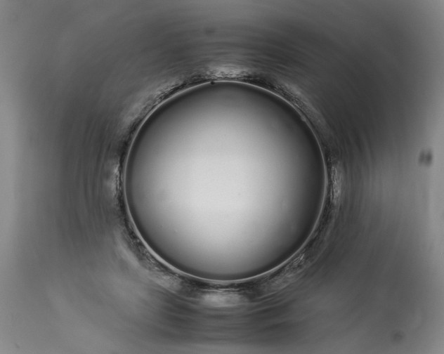 X0000113620451200910021833