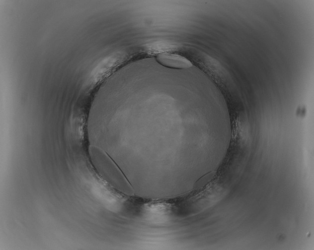 X0000113620452200910021833