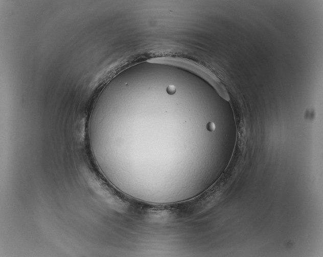 X0000113620454200910021833