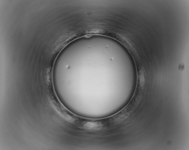 X0000113620455200910021833