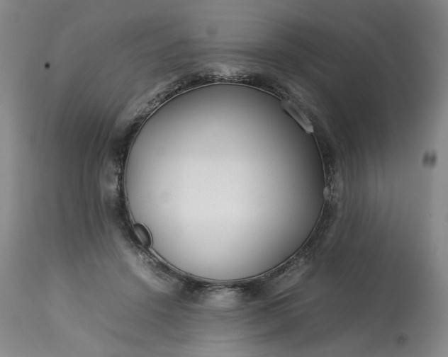 X0000113620456200910021833