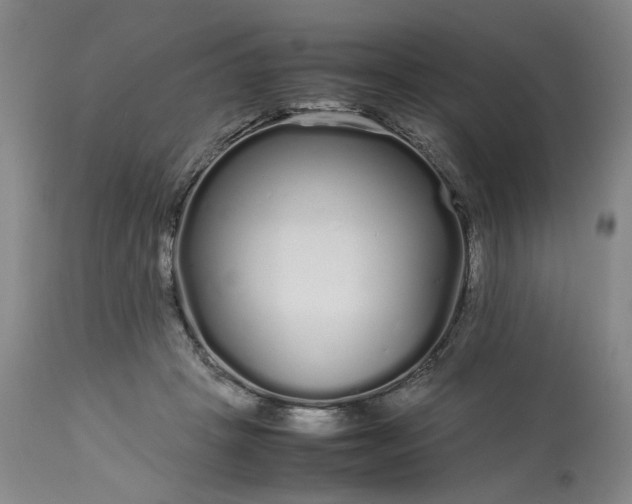 X0000113620457200910021833