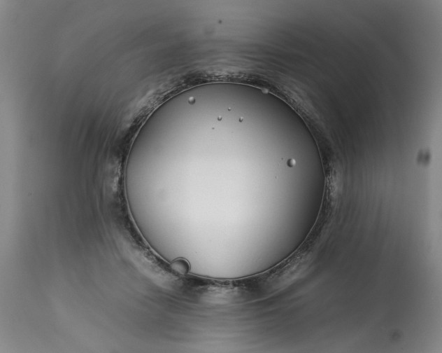 X0000113620458200910021833