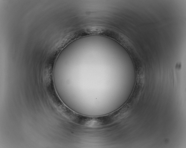 X0000113620460200910021833