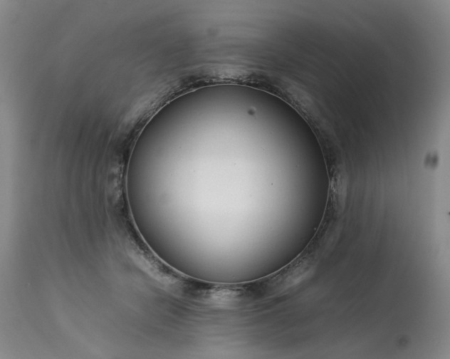 X0000113620462200910021833