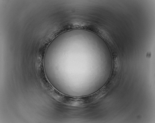 X0000113620463200910021833