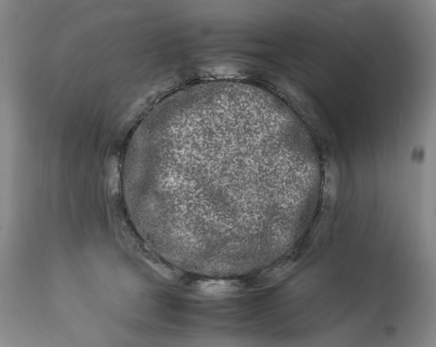 X0000113620465200910021833