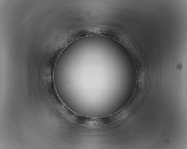 X0000113620466200910021833