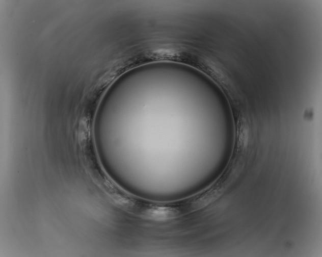 X0000113620467200910021833