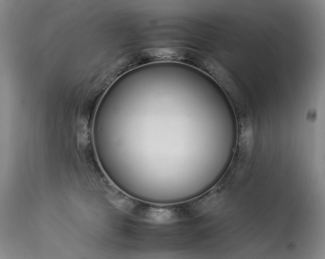 X0000113620469200910021833