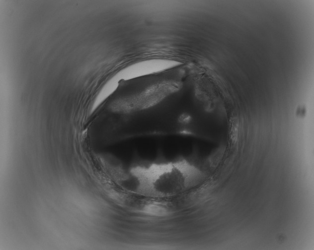 X0000113620471200910021833