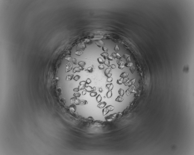 X0000113620473200910021833