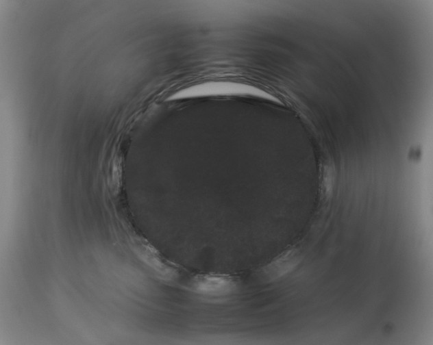 X0000113620475200910021833