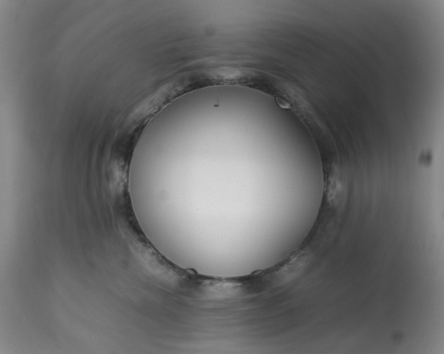 X0000113620476200910021833